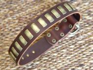 American Bulldog  leather dog collar